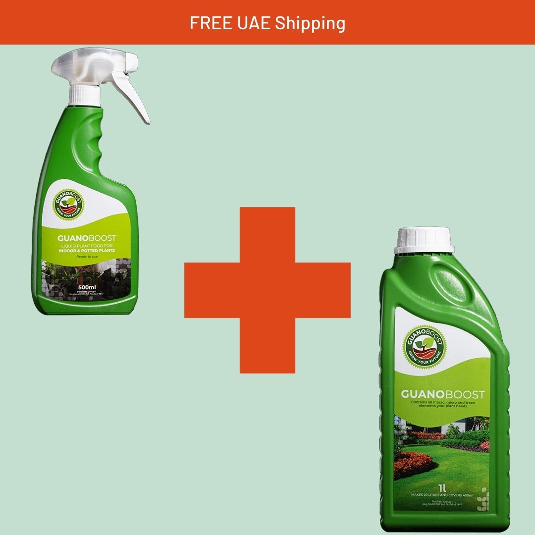 Small Garden and Indoor Bundle