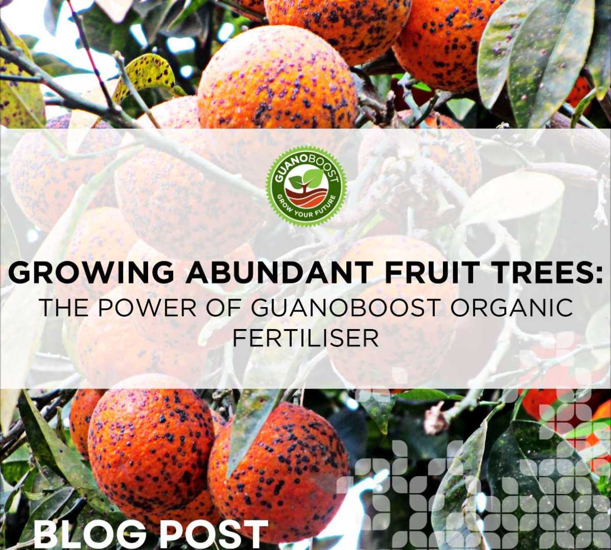 Growing Abundant Fruit Trees: The Power of GuanoBoost Organic Fertiliser