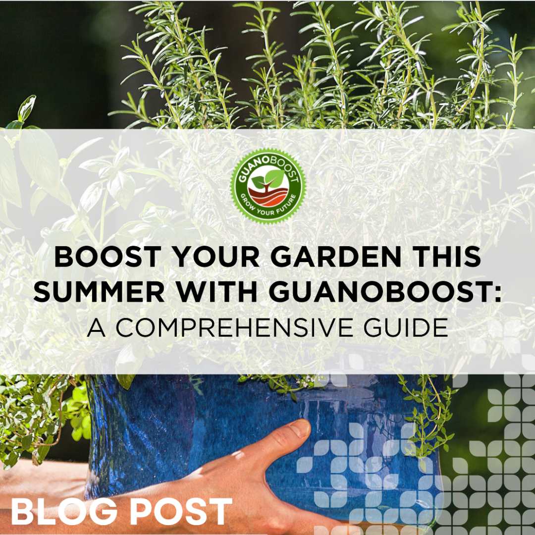 Boost Your Garden This Summer with GuanoBoost: A Comprehensive Guide