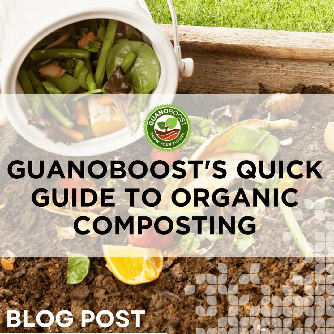 GuanoBoost's Quick Guide to Organic Composting