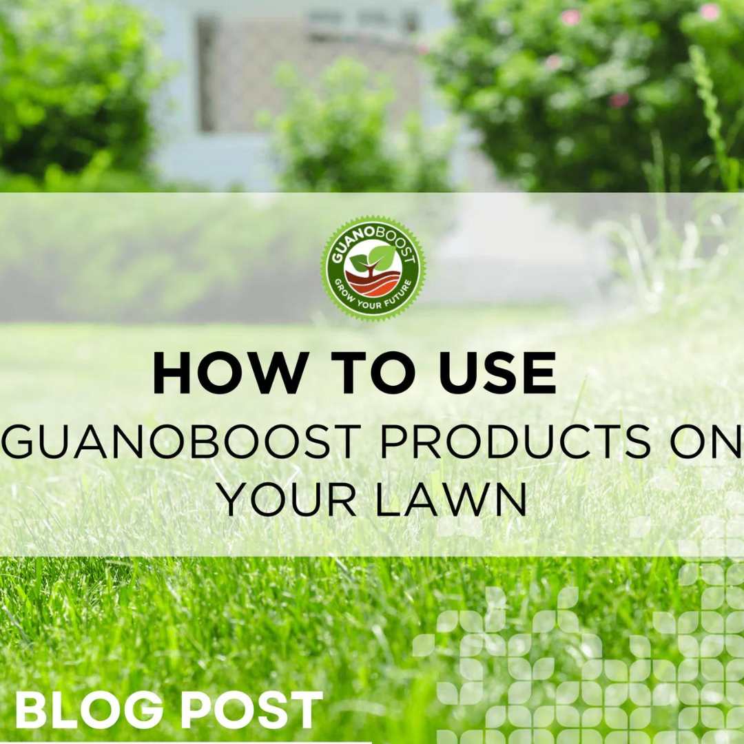 How to Use GuanoBoost Products on Your Lawn