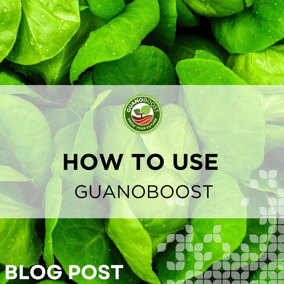 How to use GuanoBoost