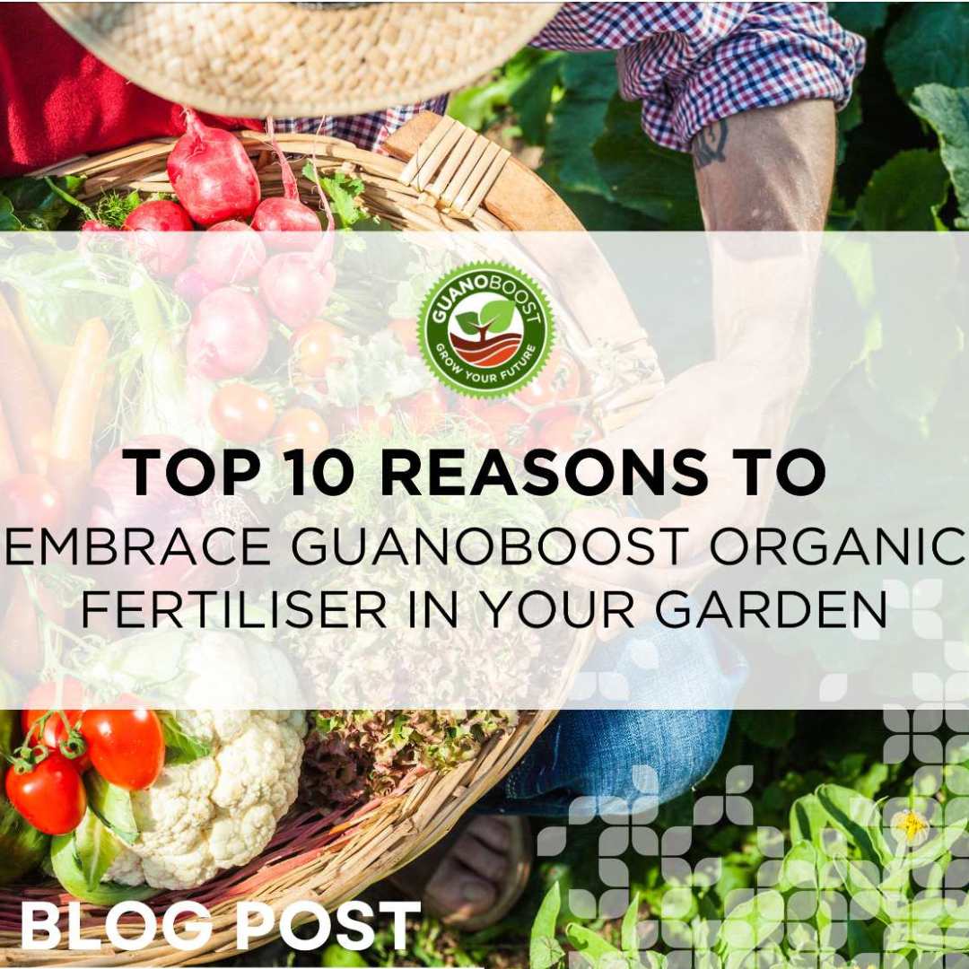 Top 10 Reasons to Embrace GuanoBoost Organic Fertiliser in Your Garden