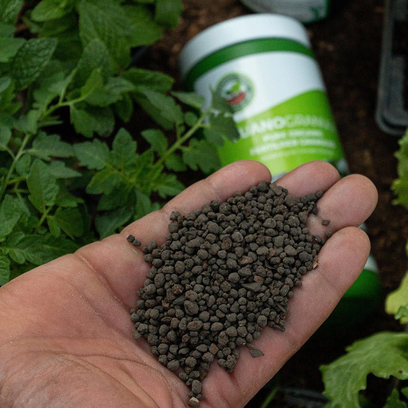 How to use GuanoBoost Granules in your garden