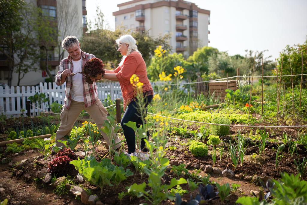 How to Use Guanoboost Organic Fertiliser in Your Vegetable Garden