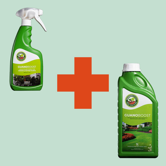 Small Garden and Indoor Bundle